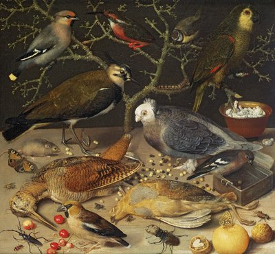 Stilleven van vogels en insecten, 1637 door Georg Flegel